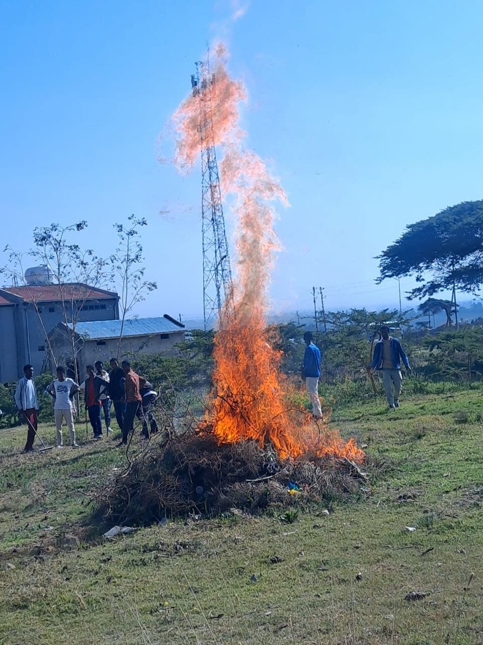 Students taking part in a campus cleaning activity at Dodola Ifa Boru Boarding School